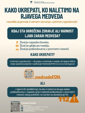 Srečanje z medvedom